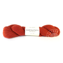 Indlæs billede til gallerivisning Baby Alpaca