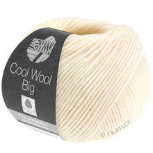 Indlæs billede til gallerivisning Cool Wool Big/Mélange
