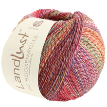 Indlæs billede til gallerivisning Landlust Die Sockenwolle
