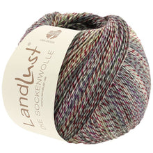 Indlæs billede til gallerivisning Landlust Die Sockenwolle
